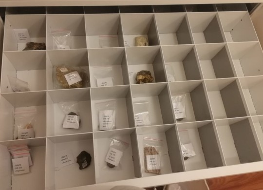 Выдвижные ящики с разделителями